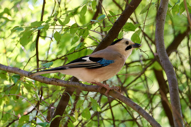 Similar image 21698968