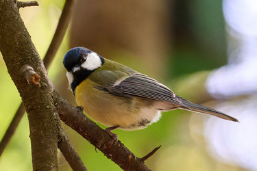 Similar image 21698969