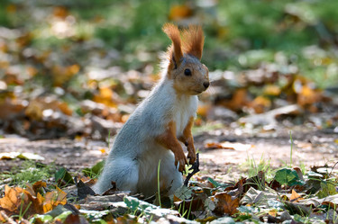 Similar image 21698971