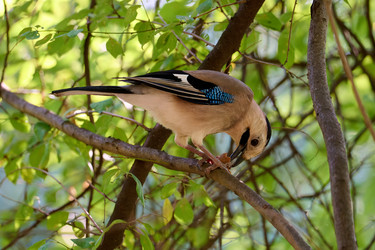 Similar image 21698972