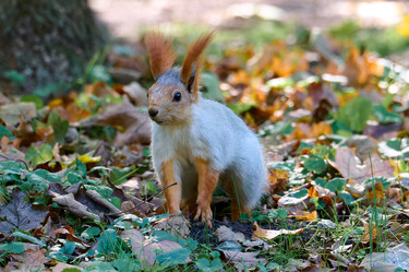 Similar image 21698976