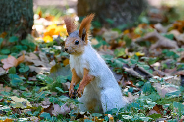 Similar image 21698977