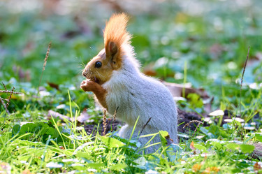 Similar image 21698979