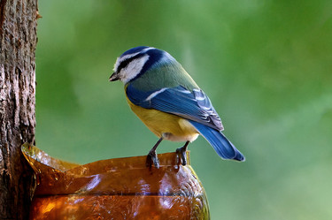 Similar image 21698980