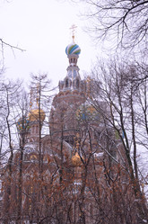 Similar image 21698866