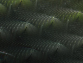 Similar image 21700488