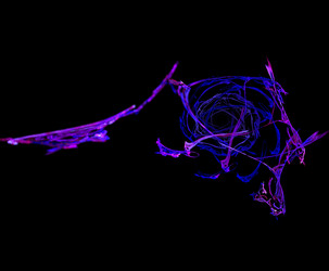 Similar image 21699936