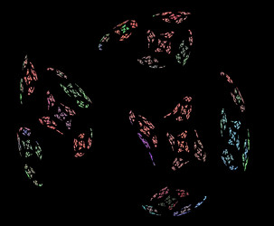 Similar image 21699942