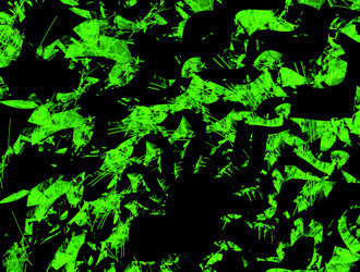 Similar image 21700228