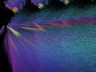 Similar image 21700256