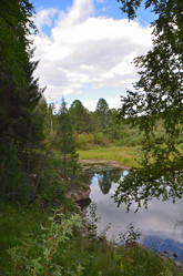 Similar image 21700269