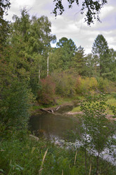 Similar image 21700271