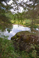 Similar image 21700272