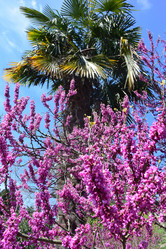 Similar image 21700277