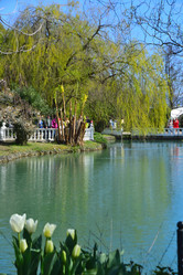 Similar image 21700283