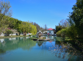 Similar image 21700284