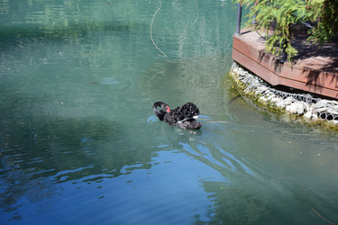 Similar image 21700285