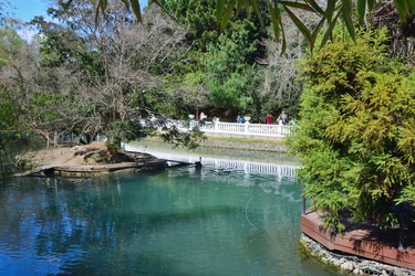 Similar image 21700287