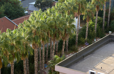 Similar image 21701807