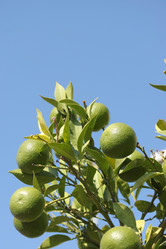 Similar image 21701809