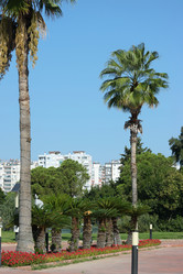 Similar image 21701818