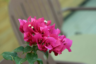 Similar image 21701824