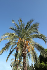 Similar image 21701830