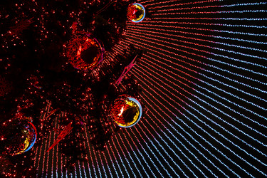 Similar image 21700007