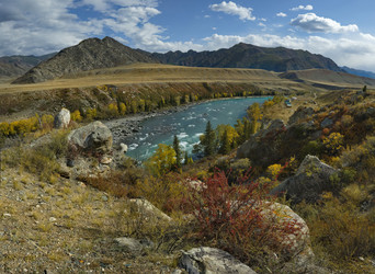 Similar image 21701687