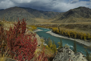 Similar image 21701691