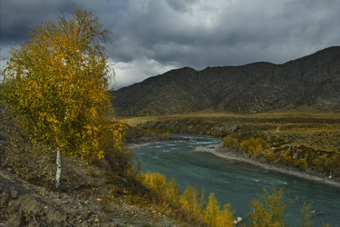 Similar image 21701694