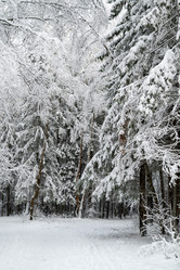 Similar image 21700288