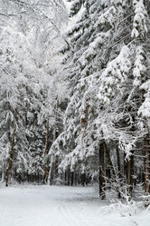 Similar image 21700030