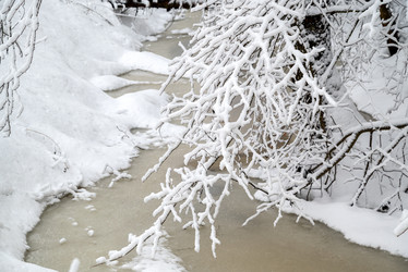 Similar image 21700031