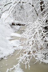 Similar image 21700290