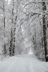 Similar image 21700291