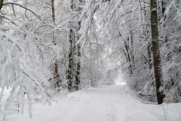 Similar image 21700032