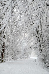 Similar image 21700034