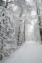 Similar image 21700292