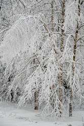 Similar image 21700293