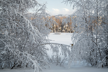 Similar image 21700294