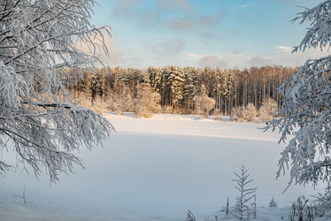 Similar image 21700295