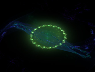 Similar image 21702684