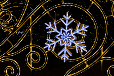 Similar image 21701013