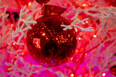 Similar image 21701023