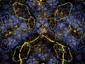 Similar image 21702728