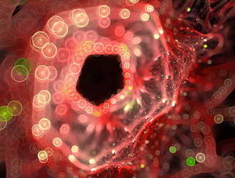 Similar image 21702321