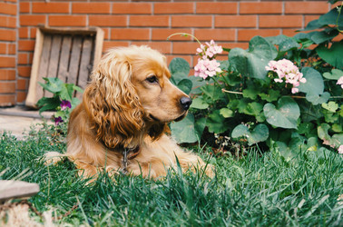 Similar image 21701044