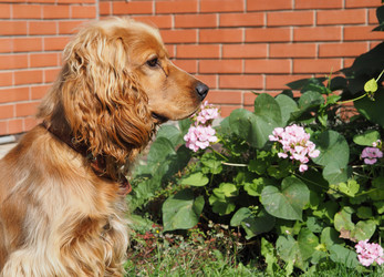 Similar image 21701046