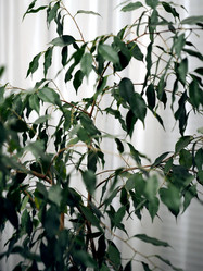 Similar image 21701051